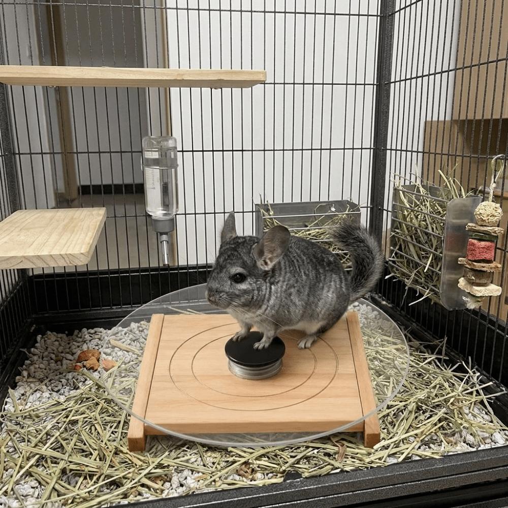 Glass Chinchilla Running Plate Silent Small Animal Health Runner Pet Exercise Toy for Gerbils