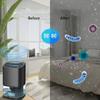 Dehumidifer Small Frigidaire Portable 1000ml Water Tank Dehumidificador для дома, ванной комнаты, подвала