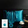100 Percent Pure Mulberry Silk Pillowcase For Hair And Skin Natural Silk Front With Soft Breathable Back Pillow Cover