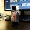 Чехол для телефона селфи котенка Для iPhone 17,16,15,14,13,12,11 Plus,Pro Max,XS,Красочный Серебряный Чехол для телефона Funda Cover