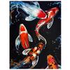 Diamond Painting Koi Fish Graph Diy Full Diamond Embroidery