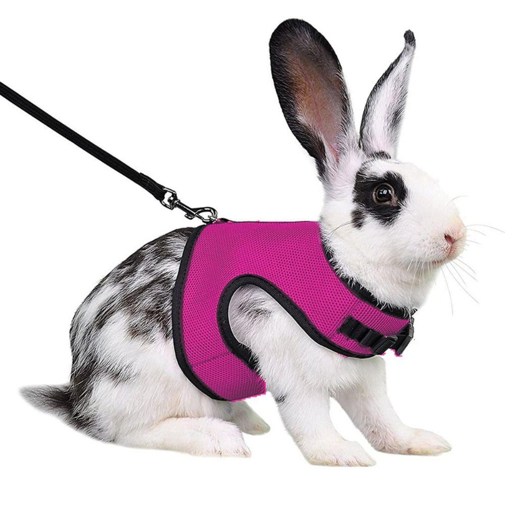 Pet Harness Rabbit Chest Harness Leash Fine Workmanship Rabbit Vest Harness Pets Supplies