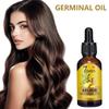 3PC Ginger Hair Care Gentle Nourishing Hair Softening Dry Hair Daily Care