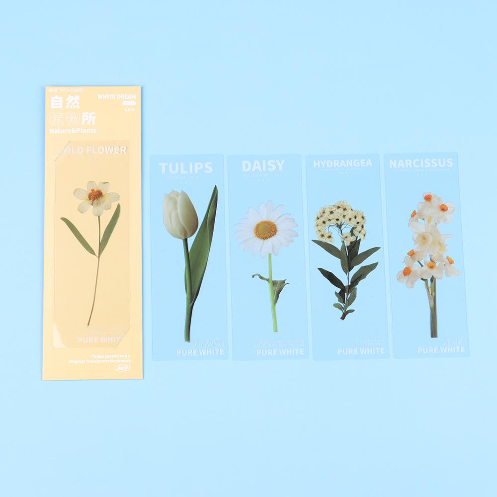 Book Note Marker PET Bookmarks Card Specimen Bookmarks Nature Plants Bookmarks Translucent Flower