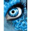 Полный 5D Diy Алмазная картина Причудливые глаза Дрель Вышивка Крестом Домашний Декор Подарок ручной работы