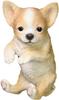 Toyosekiso Dog Ornament (Chihuahua) 14201 Brown, Approx. 11 X 11 X 21 Cm