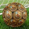 Dinosaur Glass Art Round Football Size 5 Adult Ball Suitable for Training Matches and Outdoor Team.