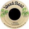 7-дюймовая пластинка LLOYD LOVINDEER Big Batty Shirley WB104 Weed Beat 1980 Ямайка Регги Ска Даб Б/у