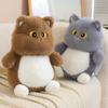Soft Stuffed Animals Dolls 23/35cm Pillow Birthday Gift Cartoon Big Eyes Cat Plush Toys