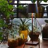 Светодиодная настольная лампа для защиты глаз и чтения с функцией зарядки