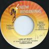 7-дюймовая пластинка TURBULENCE / MICHELE - Live Up Right / Inspire Me Oh Jah NONE New Begining 2006 Ямайка Регги, Ска и Даб Б/У