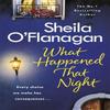 What Happened That Night by Sheila OFlanagan Paperback Book 9781472235350