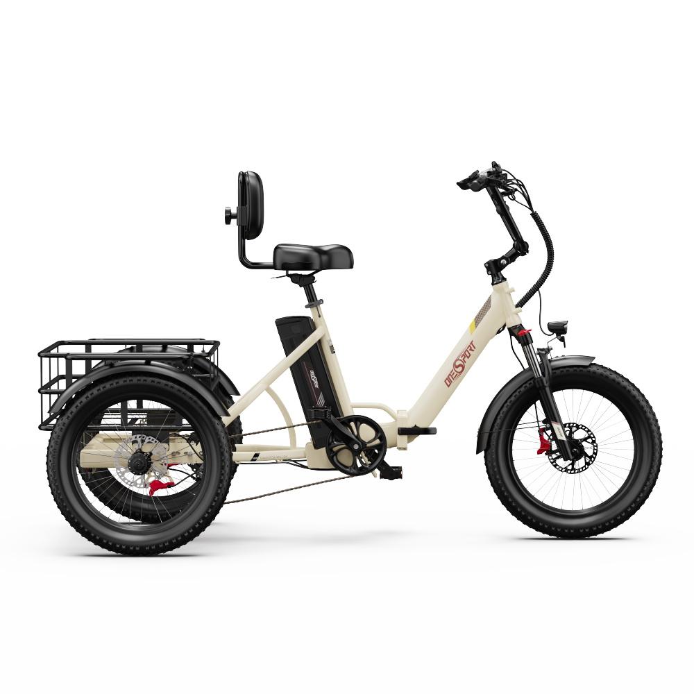 ONESPORT OT30 Pro Adult Electric Tricycle 500W 48V18AH Electric Cargo Tricycle 20 Inch All-Terrain Tires E-Tricycle City E-Cargo Tricycle