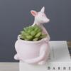 Cute Kangaroo Flower Pot Ceramics Succulent Pot Planter Home Decor Desktop Ornaments Garden Decoration Bonsai Plant Pot