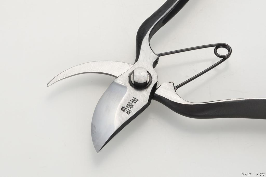 Takagi Садовые ножницы Takagi, тип B, 200 мм, садовый плуг для обрезки деревьев, лезвие для приемника из высокоуглеродистой стали, произведено в Японии. Takagi TAKAGI