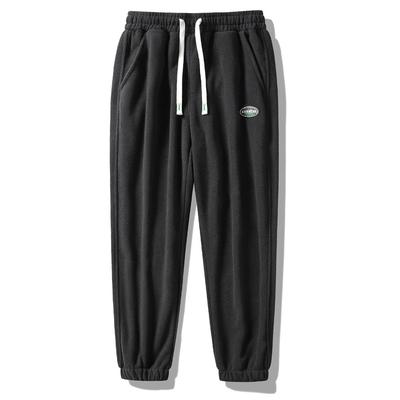 Флисовые спортивные штаны плюс бархатные толстые повседневные брюки, свободные спортивные мужские брюки большого размера