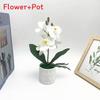 Faux Butterfly Orchid Plant With Plush Material Wedding Decor Props Photography