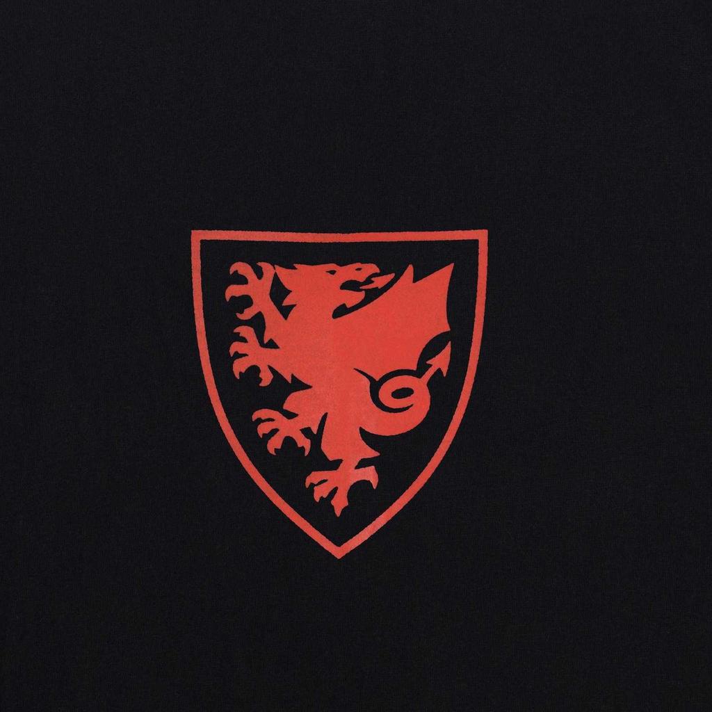 FA Wales Mens Graphic T-Shirt