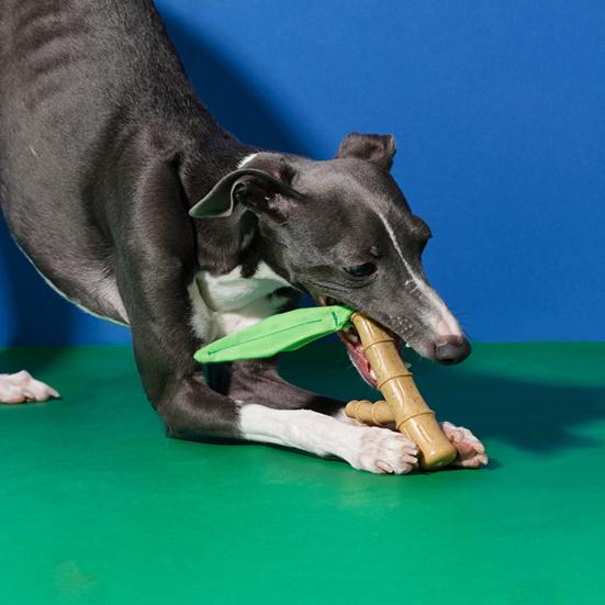 Игрушка для жевания собак в форме бамбука, молярная палочка для агрессивного жевания, неразрушимая