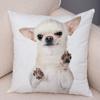 Cute Pet Animal Pillowcase Decorative Cute Puppy Chihuahua Pillowcase Soft Plush Cushion Cover for Car Sofa Home 45x45cm