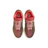 LeBron 21 'Queen Conch' FN0708-800