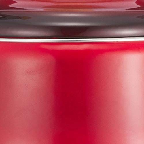 Wahei Freiz Kettle Boiling Water 1.6L IH Compatible Enamel RA-9792