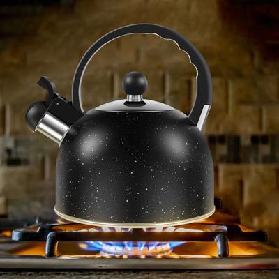 Чайник со свистком Газовые Индукционные плиты 2 л Чайник для плиты из нержавеющей стали Чайник для плиты Быстрое кипячение Чайники для плиты