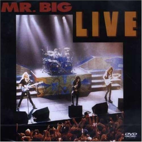 DVD DVD Мистер. Большой Live НЕТ не на этикетке 2002 Южная Корея Рок Б/у