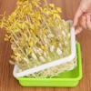 1set Microgreens Sprouter Tray Peanut Bean Sprouting Hydroponic Garden Systems Tray Nursery For Q9H6