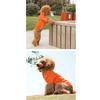 Puppy Solid Color Buttoned Polo Shirt Pet Clothes T-Shirt
