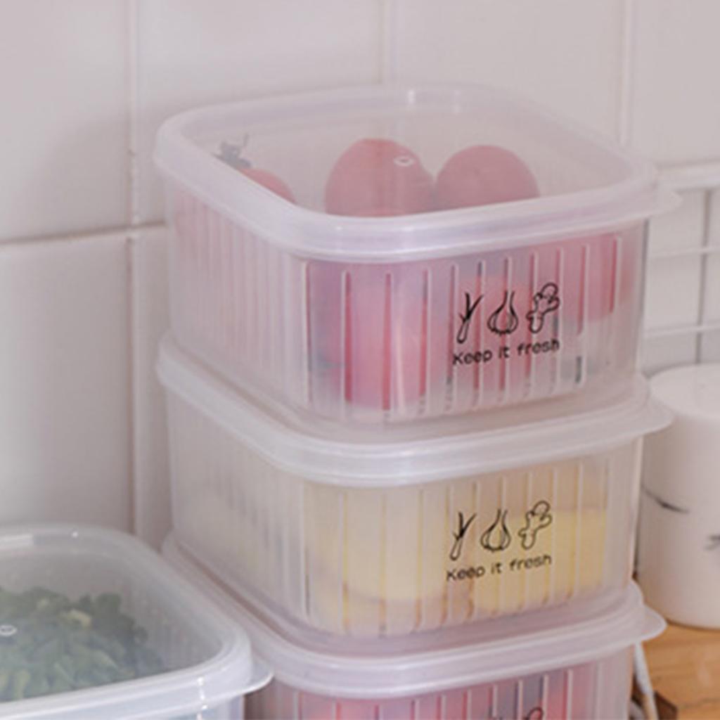 Food Storage Box Double Layer Multipurpose Chopped Green Onion Ginger Garlic Transparent Container