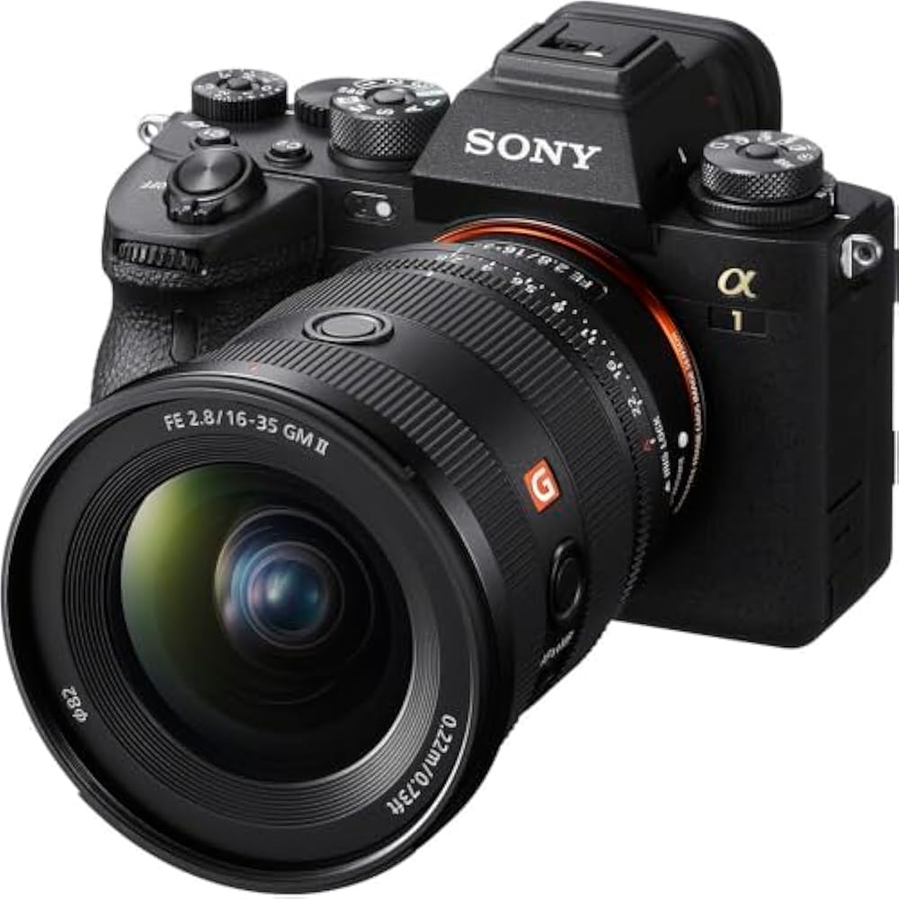 SONY (Sony) Wide Angle Zoom Lens Full Size FE 16-35mm F2.8 GM G Master Digital SLR Alpha [E Mount...