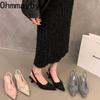 Summer Low Heel Women Sandals Fashion Pointed Toe Slip On Shoes Elegant Dancing Party Pumps