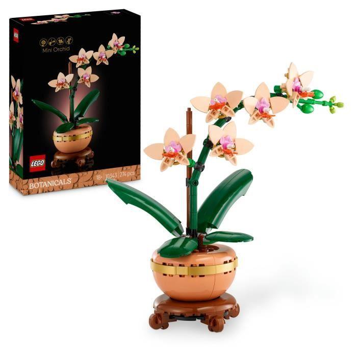 LEGO Botanicals 10343 L'orchidée miniature - Fleurs artificielles - Idée cadeau