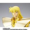 Saint Cloth Myth EX Дева Шака Возрождение <20-я версия>