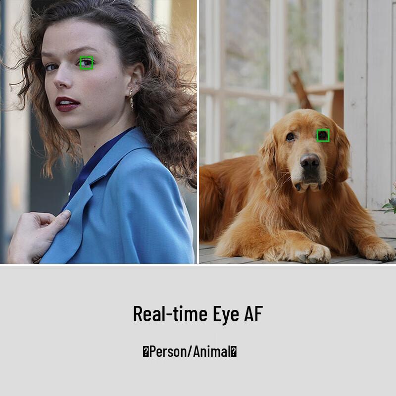 Sony Alpha a7 III Full-Frame Mirrorless Camera (CN version)