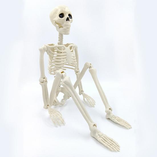 Хэллоуин Скелет всего тела Posable Суставы Реалистичные украшения человеческого скелета для вечеринки Дом с привидениями