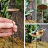 Miniature Animals Figures Resin Fairy Garden Mini Farm Jungle Animal Figurines Tiny Miniatures Items Set Collection Accessories