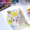Deli Oil-Based Colored Pencils Set