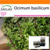 Garden In the Bag - Thai Basil - 200 Seeds - With Substrate In a Fitting Stand Up Bag - Ocimum Basilicum