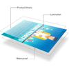 Zonon 31 Pieces Science Classroom Decoration Science Bulletin Board Set Scientist Posters Banner Classroom Wall Decoration Scientist Lab Cutouts for