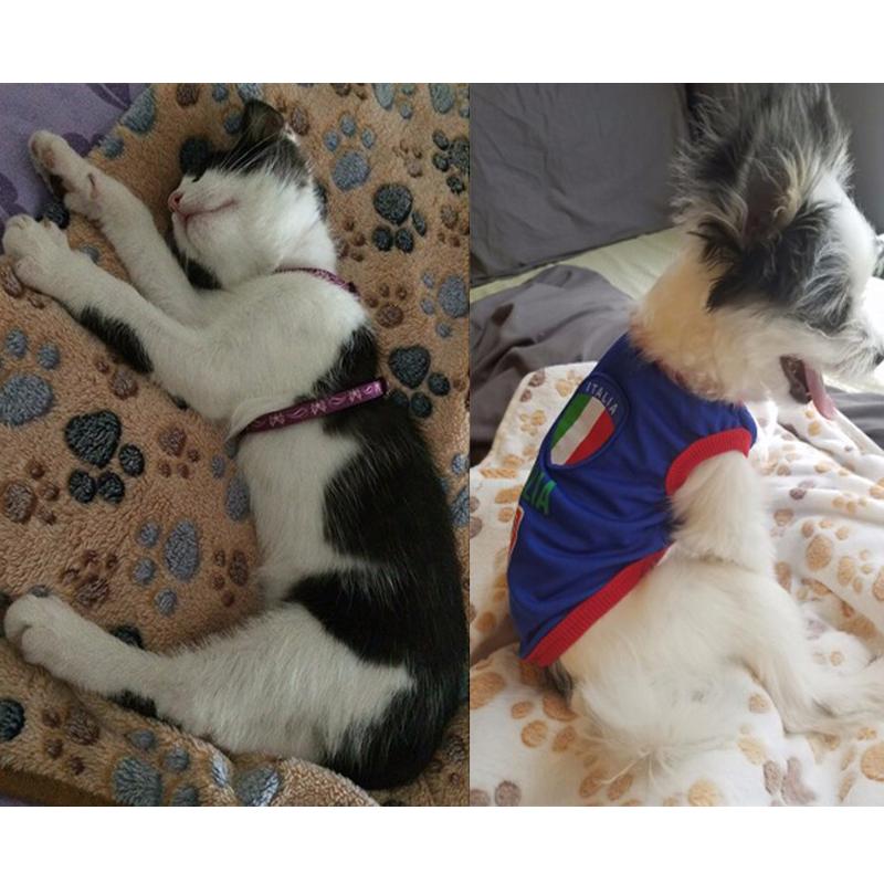 Милый теплый коврик для кровати для собак, чехол для маленьких, средних и больших кошек, собачьих лап, ручной работы, принт, щенок, домашнее животное, флис, мягкое одеяло, зимний спальный коврик для собак