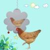 Chicken Mirror Hanging Swing Pecking Toy for Hens Chicks Birds Parrots high quality