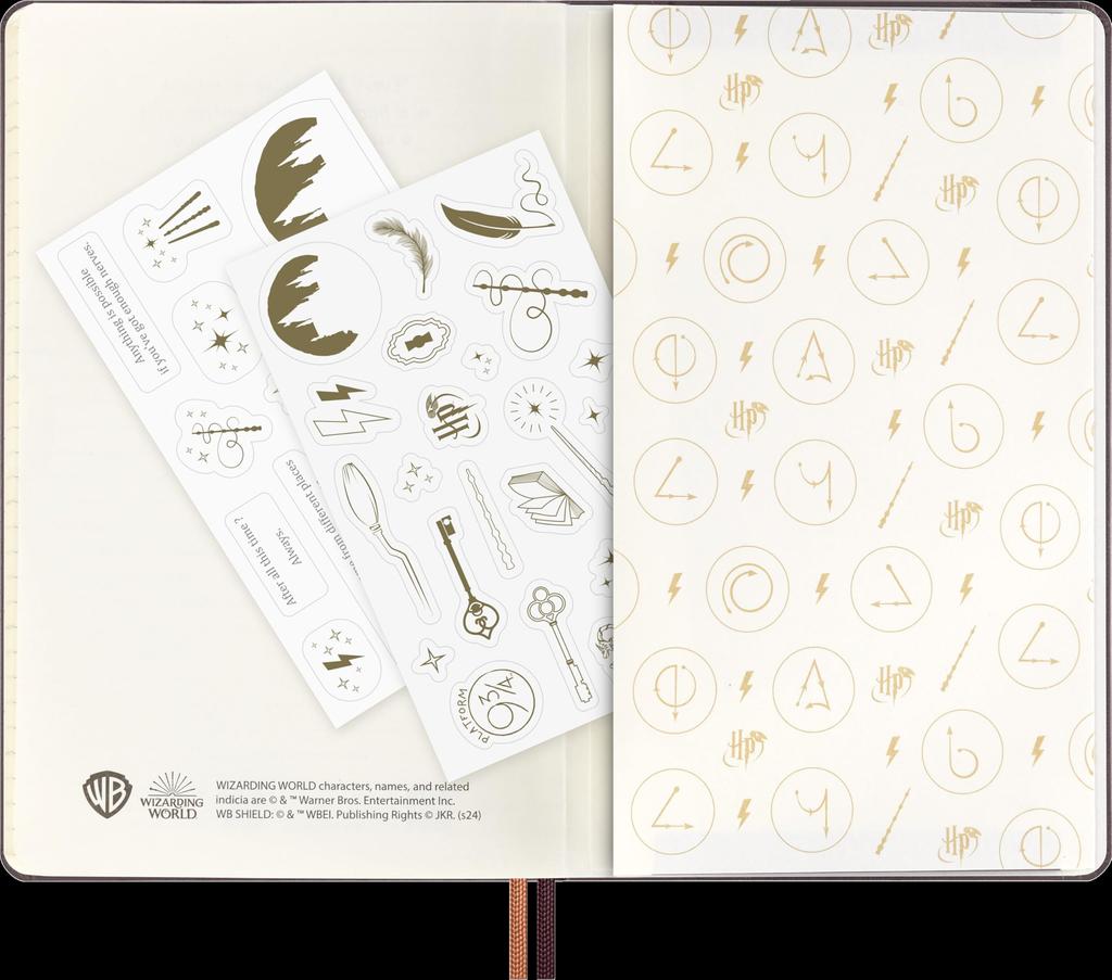 Moleskine Harry Potter 2025 Planner, January Start, 1 Page Per Day, 12-Month Daily Diary, Large Size (13cm W X 21cm H), Hardcover, Axio DHP12DC3Y25