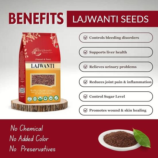СЕМЕНА BIRJU MAHAVIR Lajwanti/Chui Mui/Mimosa Pudica (400 г), натуральный (BMKB-66)