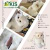 Provides Healing with Realistic Appearance and Meowing Siberian Cat Pet [Wellfun] Sounds. Cat. Elegance. Communication. Robot. Care. Loss. Siberian.