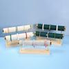 Bracelet Display Stand Elegant Jewelry Organization Wooden Base Bangle Watch Storage Holder for Home