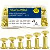 Round Flat Head Leather Rivets 6 Sizes Metal Screw Studs Kit Binding Rivets  Bookbinding