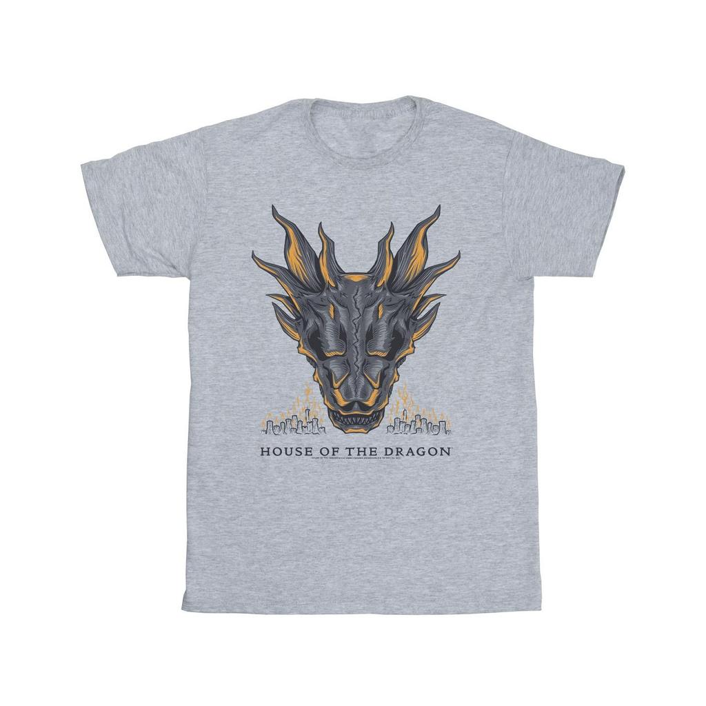Game Of Thrones: House Of The Dragon Mens Dragon Flames T-Shirt