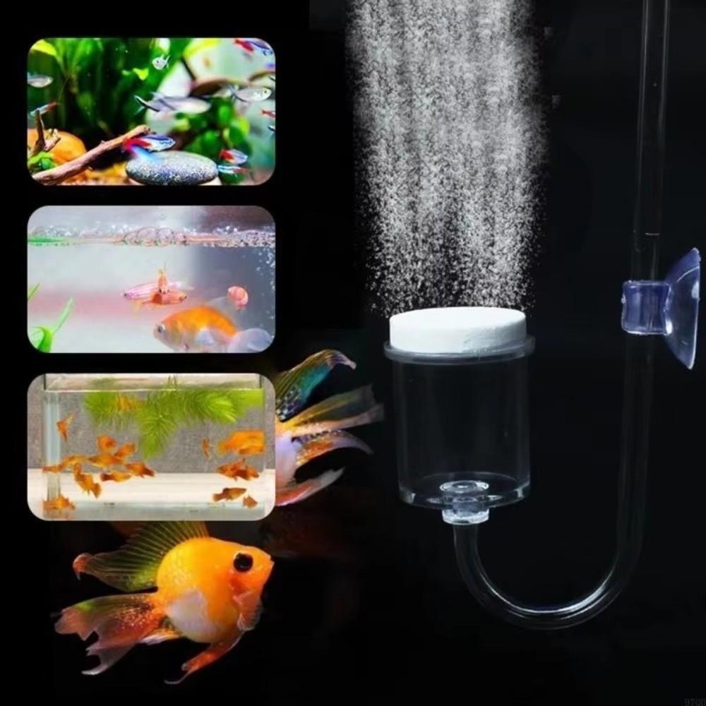 Transparent Glass CO2 Diffuser Refinement Suction Cup Glass Tube Aquarium Plant Supply